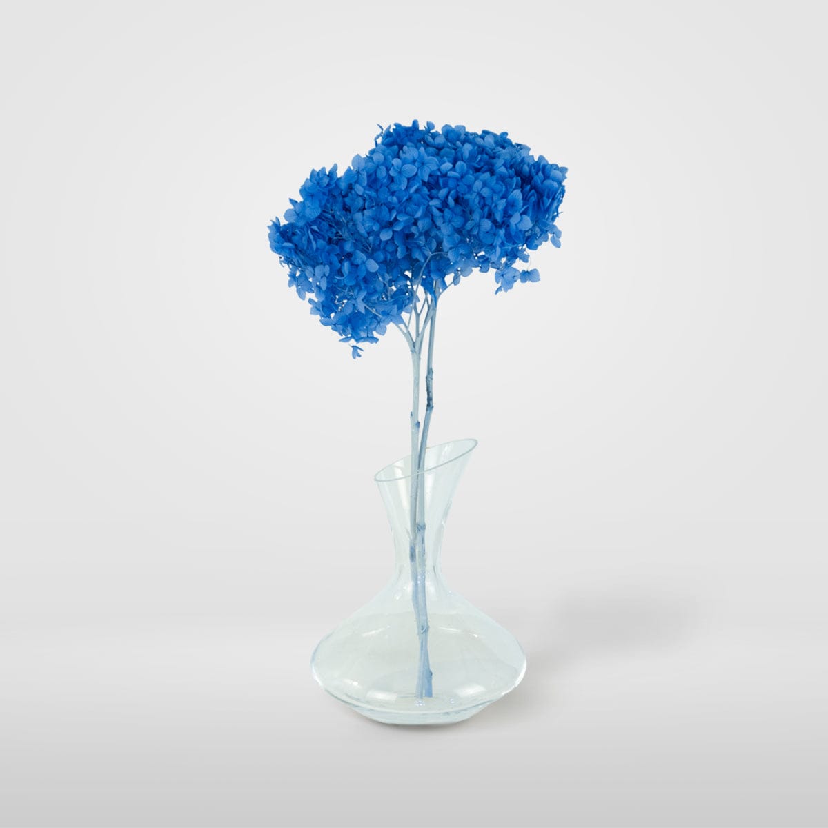 Bouquet Hortensia bleu