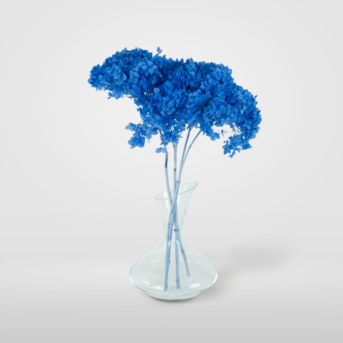 Mazzo di ortensia blu