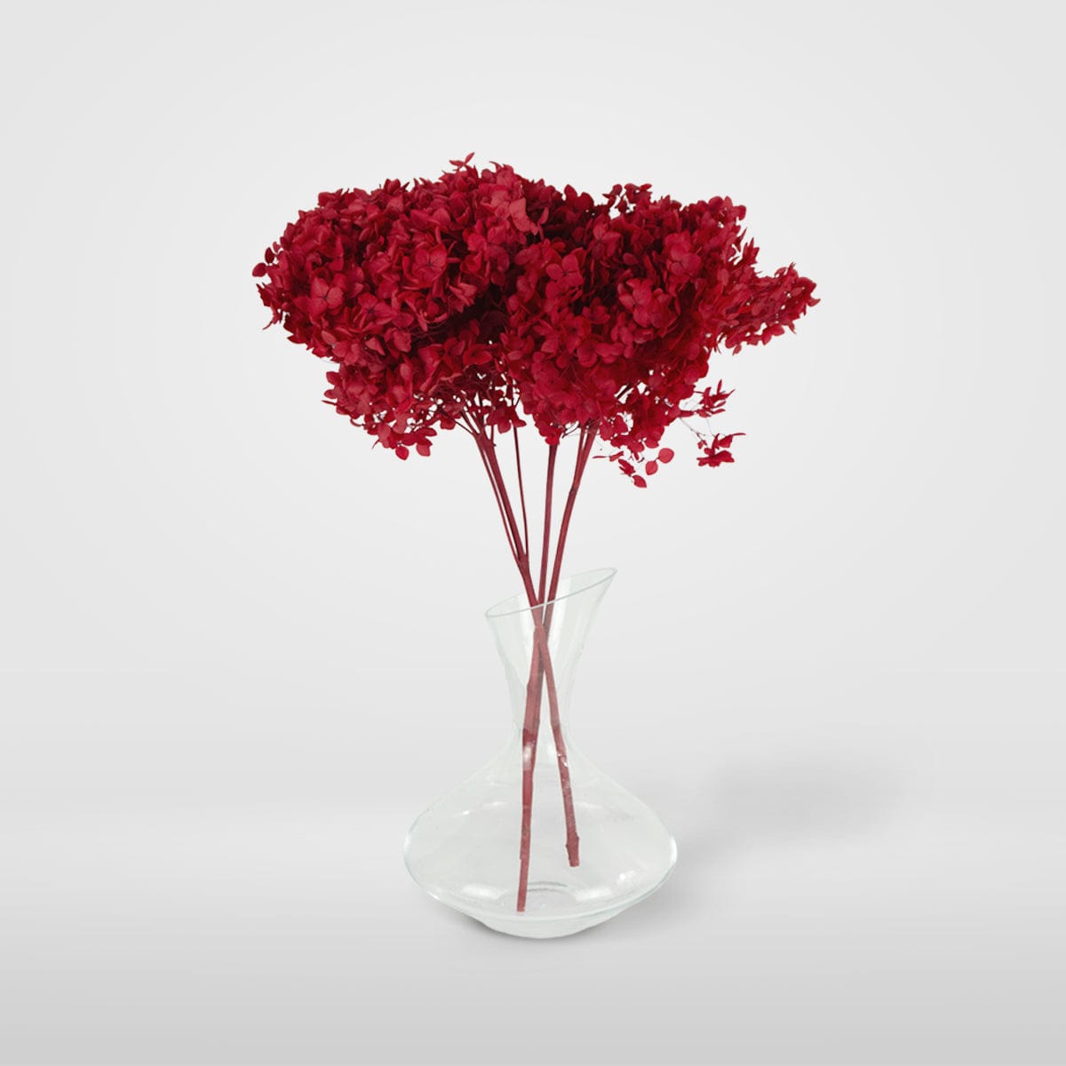 Bouquet Hortensia rouge