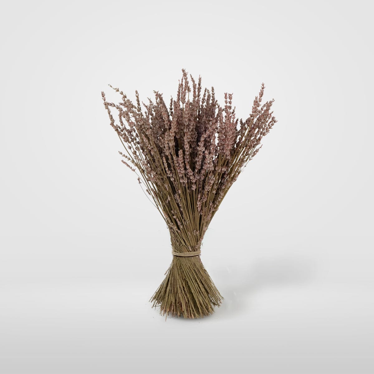 Bouquet Lavande rose
