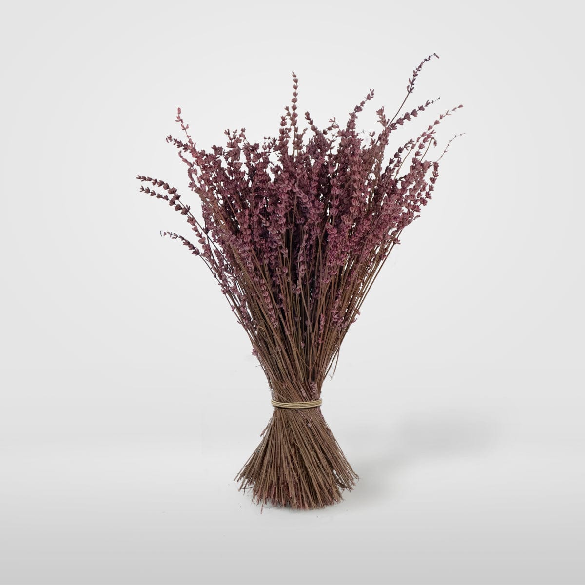 Bouquet Lavande fuchsia