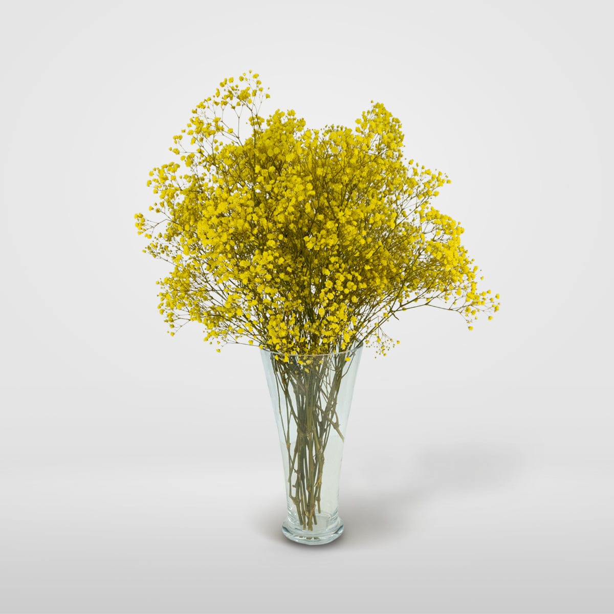 Bouquet Gypso jaune
