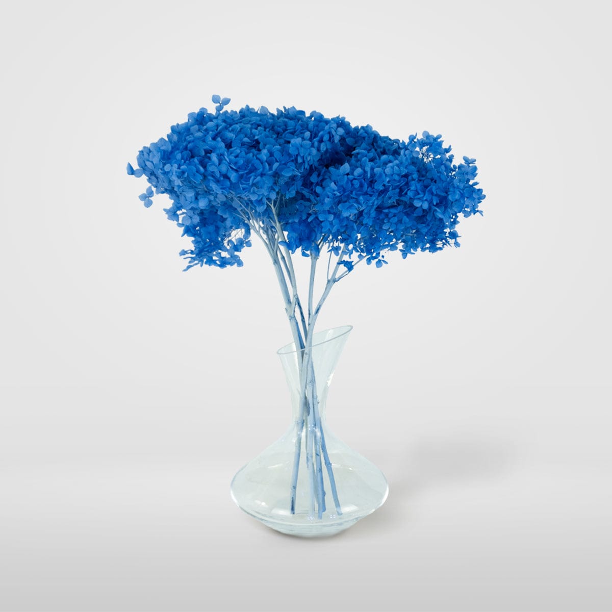 Mazzo di ortensia blu