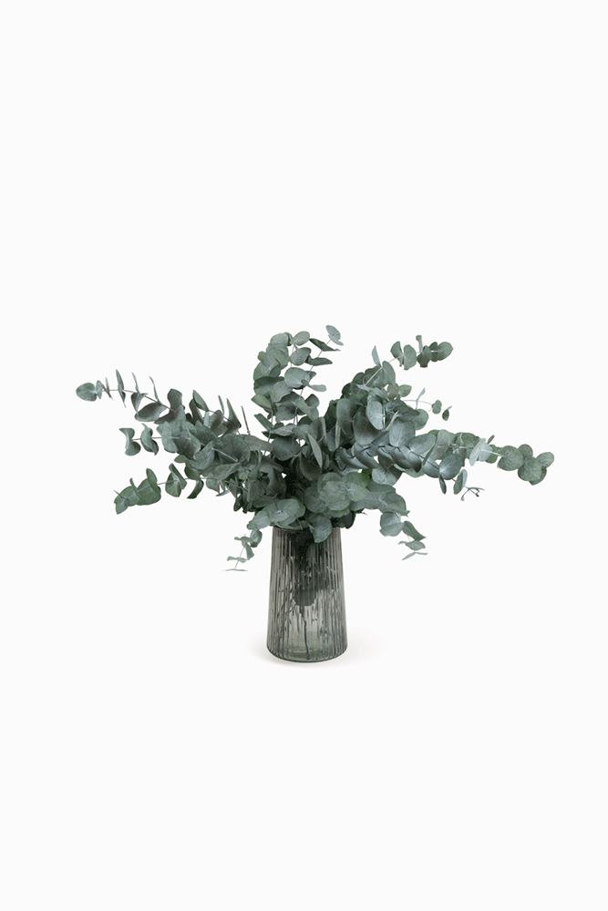 Bouquet Eucalyptus vert