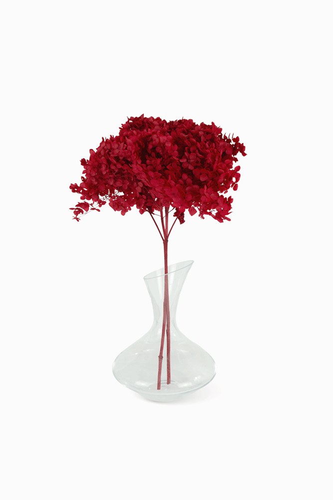 Bouquet Hortensia rouge