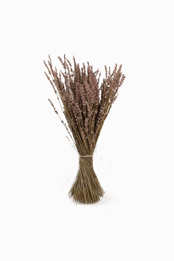 Bouquet Lavande rose