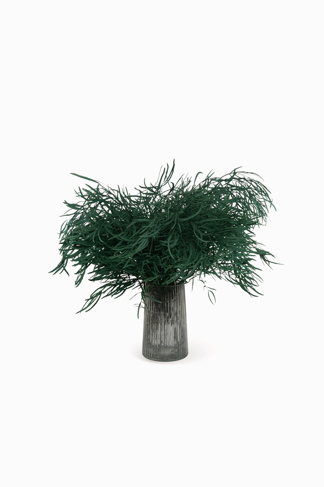 Mazzo di Eucalipto Nicholli Blu