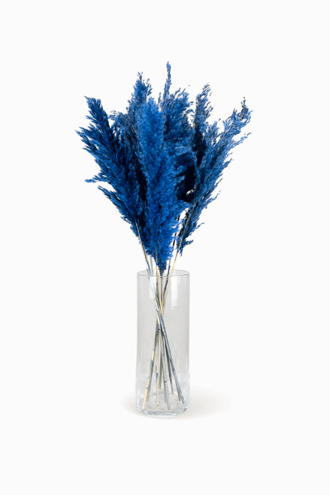 Bouquet Pampa bleu