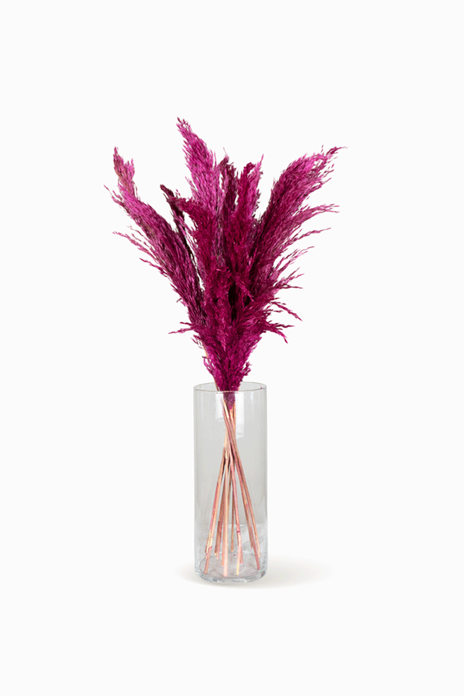Bouquet Pampa fuchsia