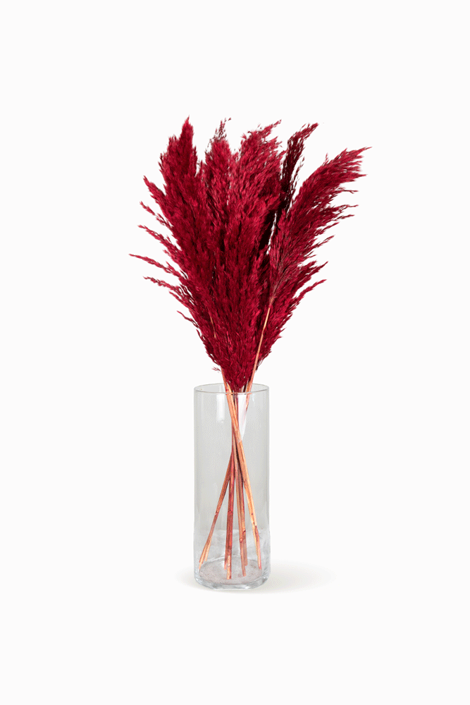 Bouquet Pampa rouge