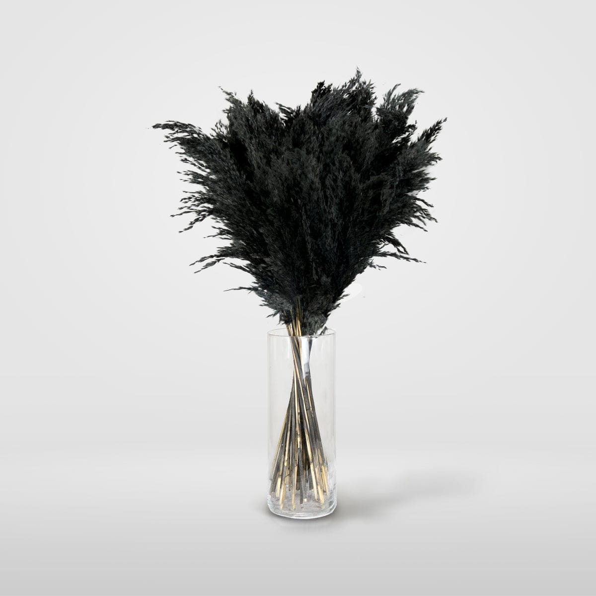 Bouquet Pampa noir