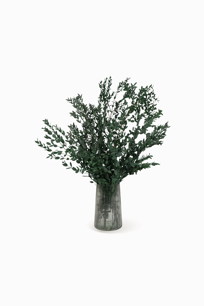 Bouquet Parvifolia vert