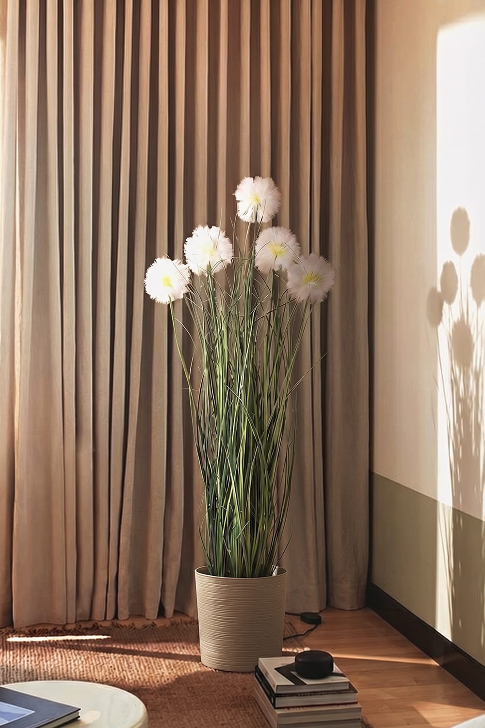 Graminée Taraxacum