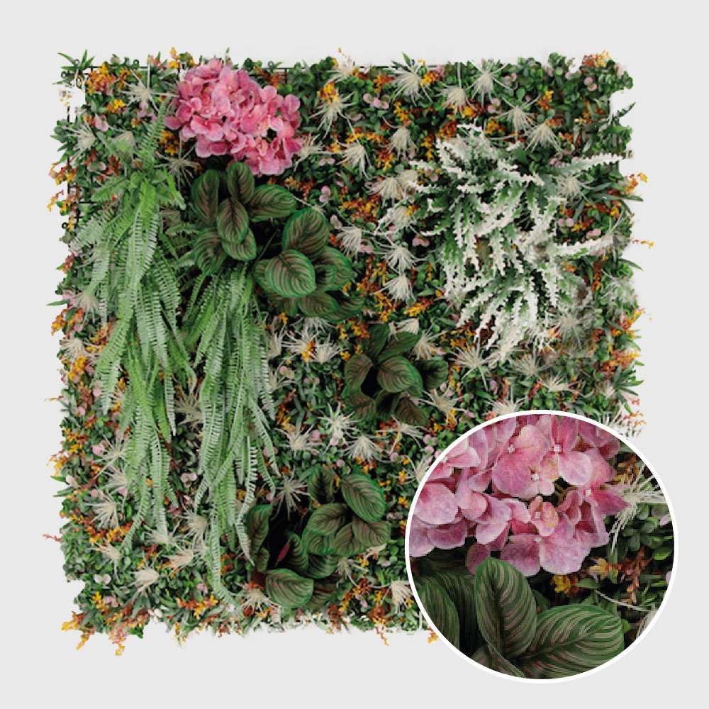 Hortensia