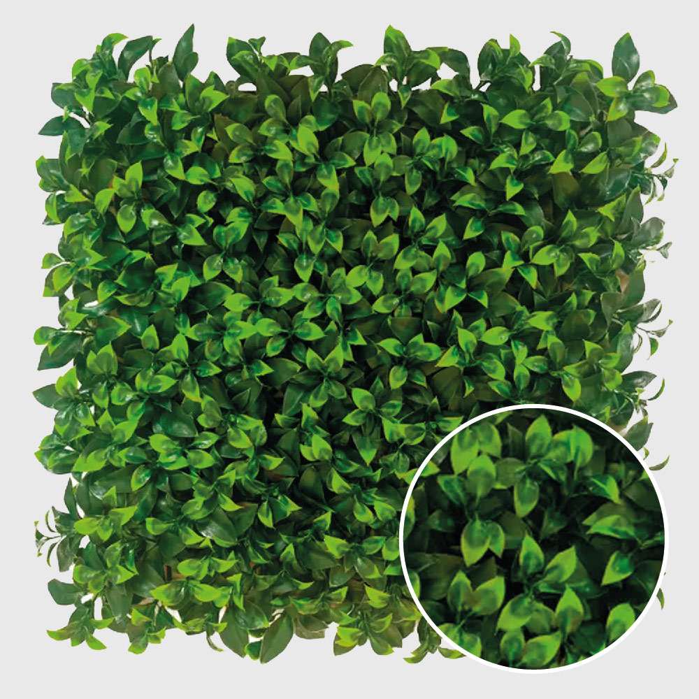 Laurel