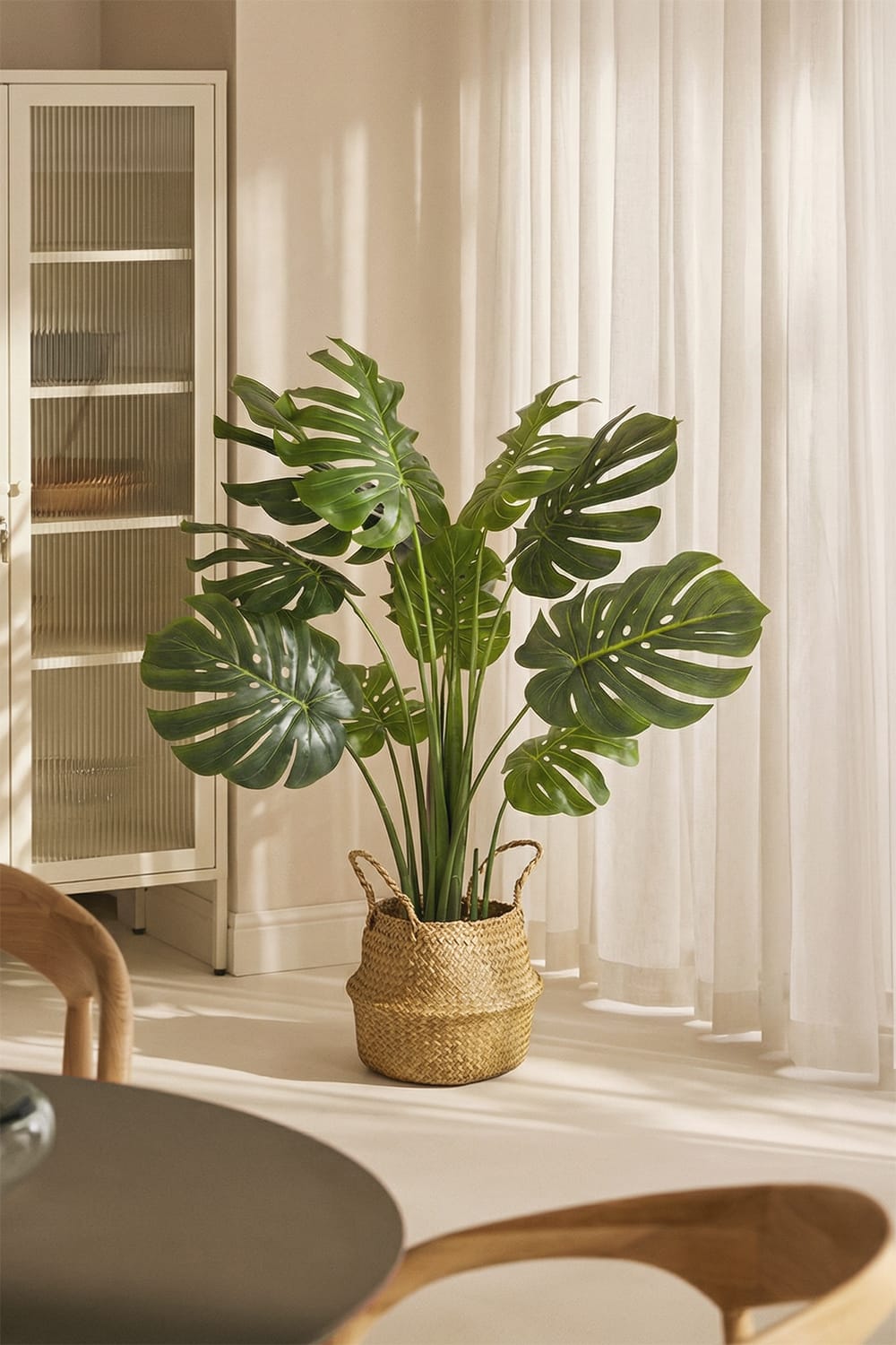 Monstera Esclusiva