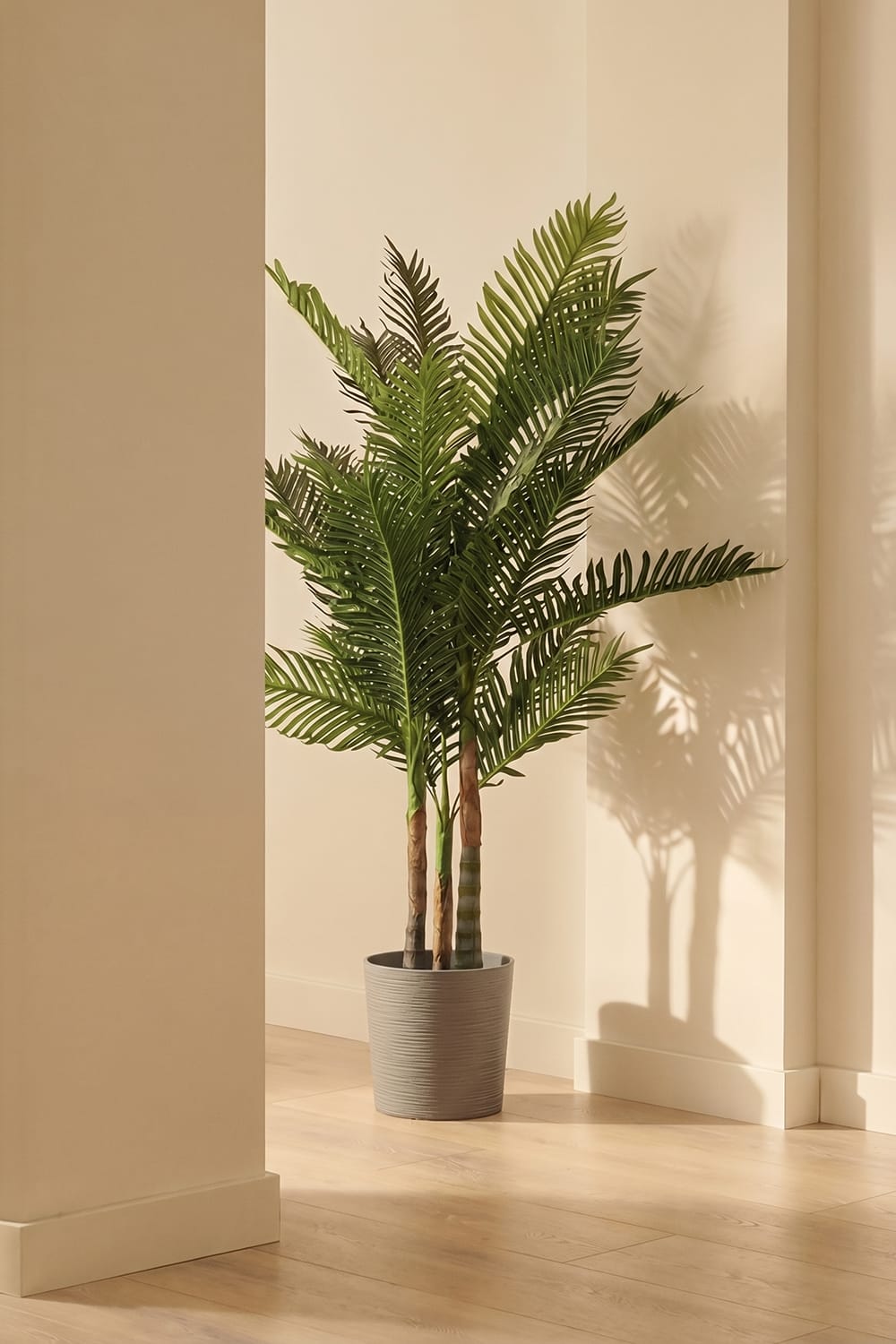 Palmier tropical
