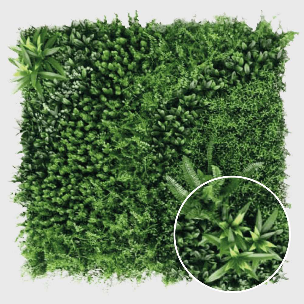 Il giardino segreto