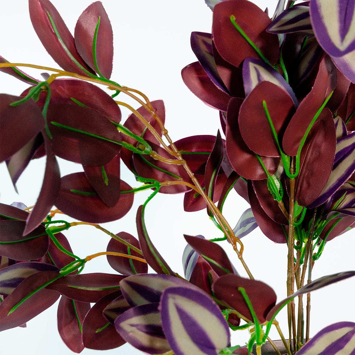 Ciondolo Tradescantia