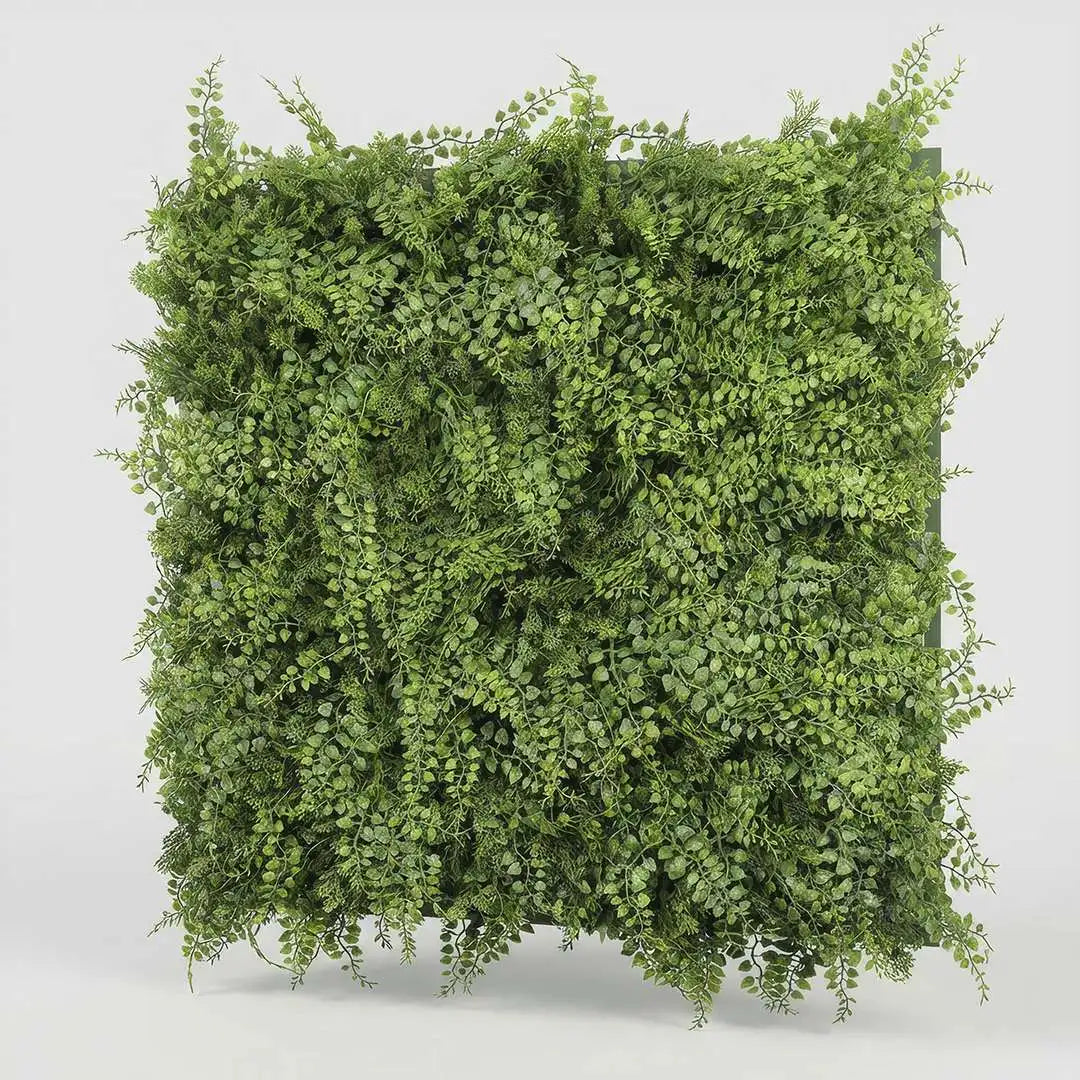 01-Helechos-3D