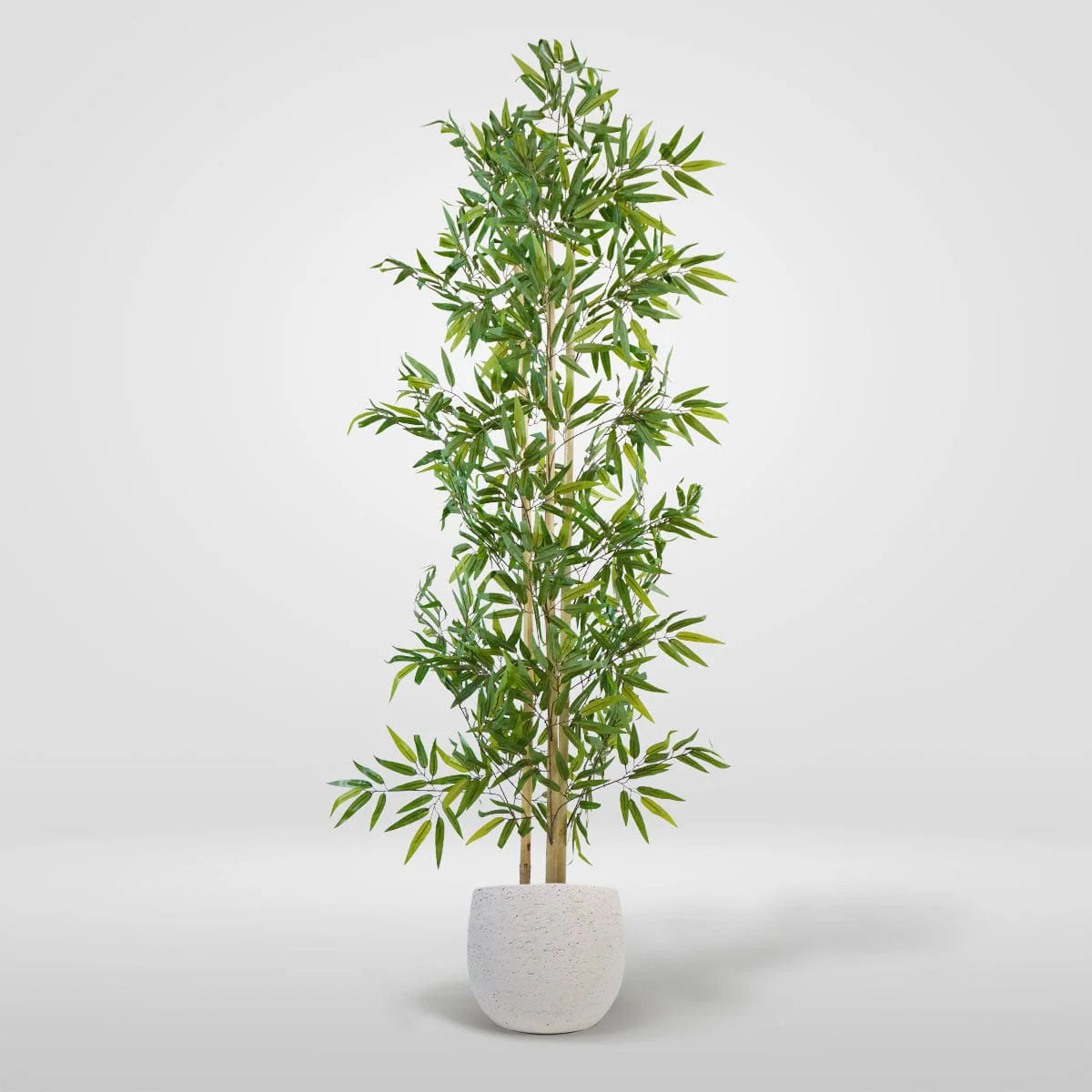 1-BambuMinimal-180cm-NeutraBlanca