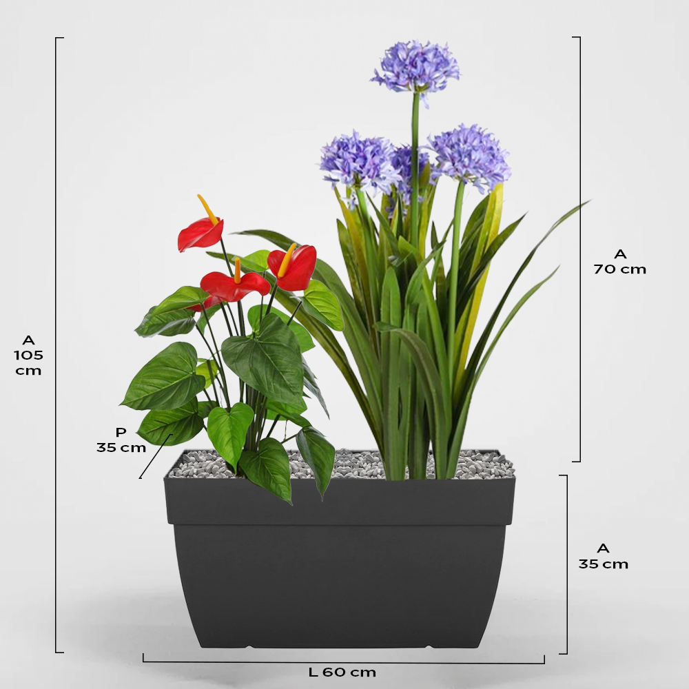 Corfú 35Px35Ax60L