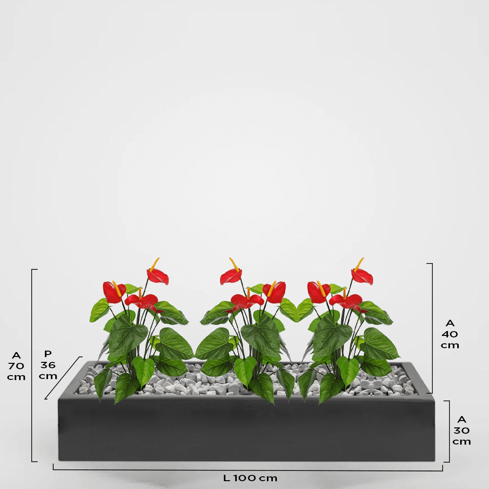 Monaco 36Px30Ax100L