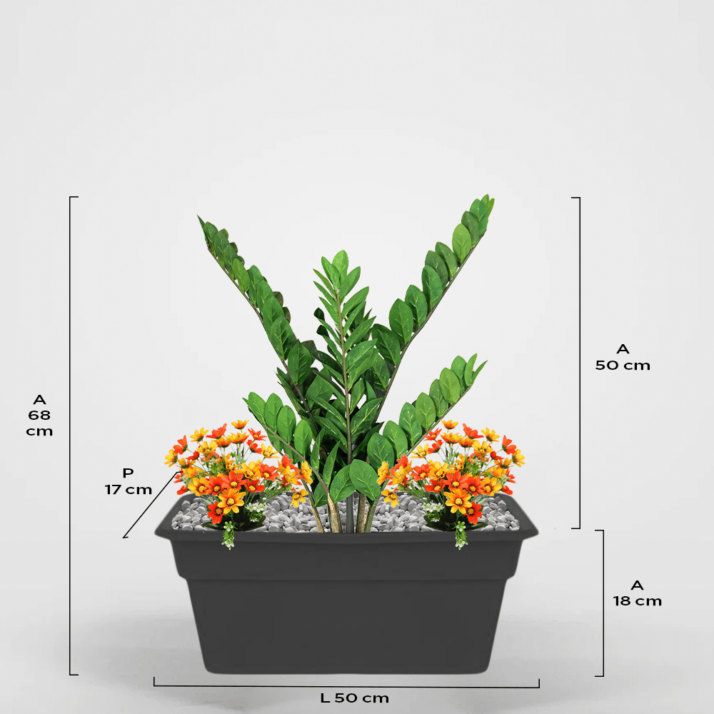 Andratx 17Px18Ax50L