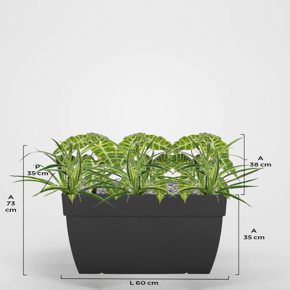 Sabbia 35Px35Ax60L