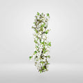 ALMENDRO BLANCO
