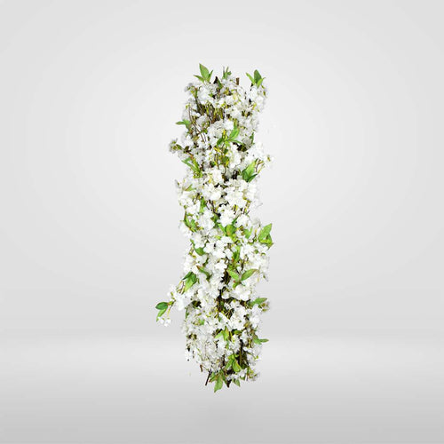 ALMENDRO BLANCO
