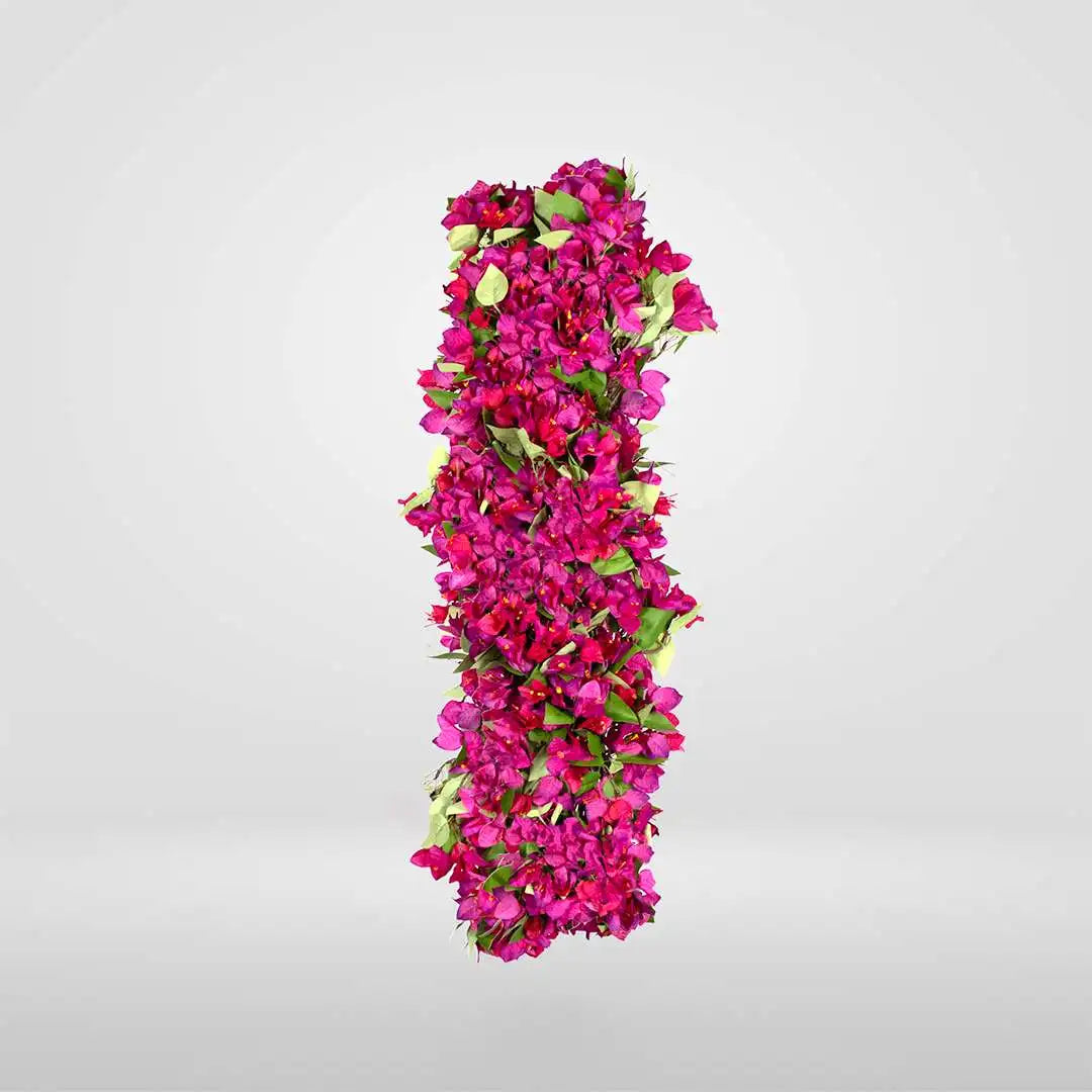 BUGANVILLA FUCSIA