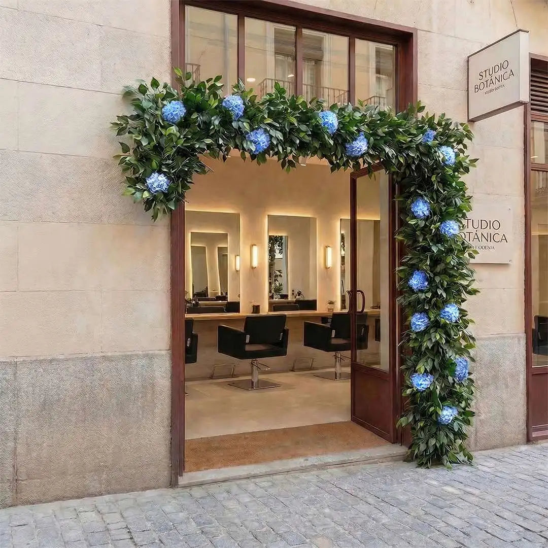 CONTEXTO-FICUS HORTENSIA-L