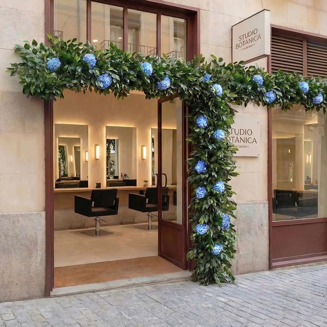 CONTEXTO-FICUS HORTENSIA-T