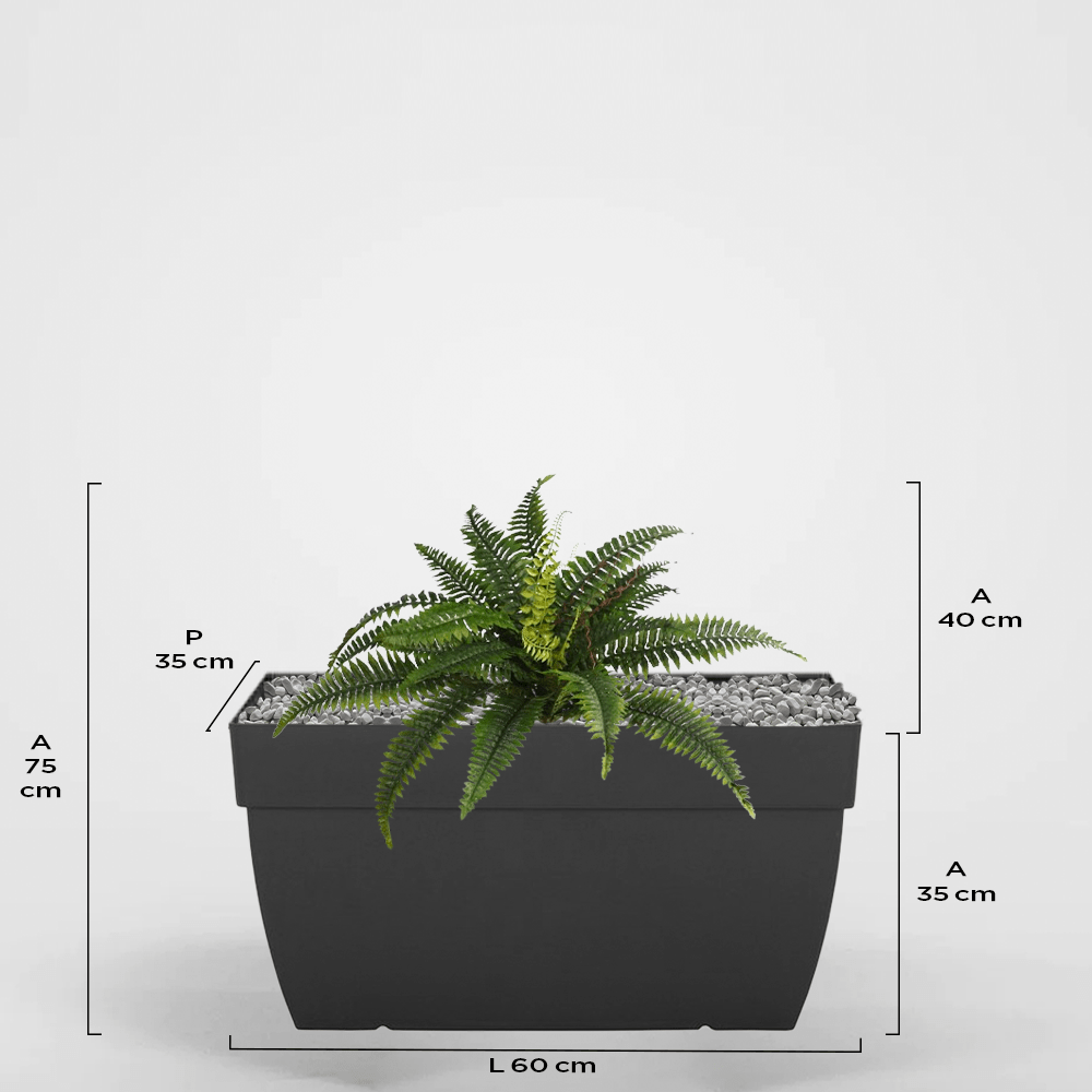 Zaire 35Px35Ax60L