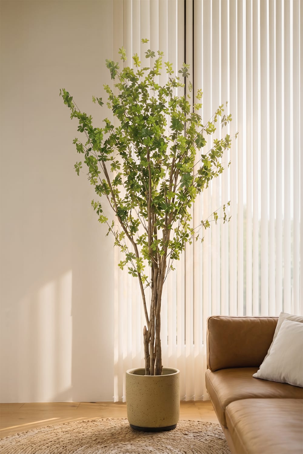 Arbre Enkianthus