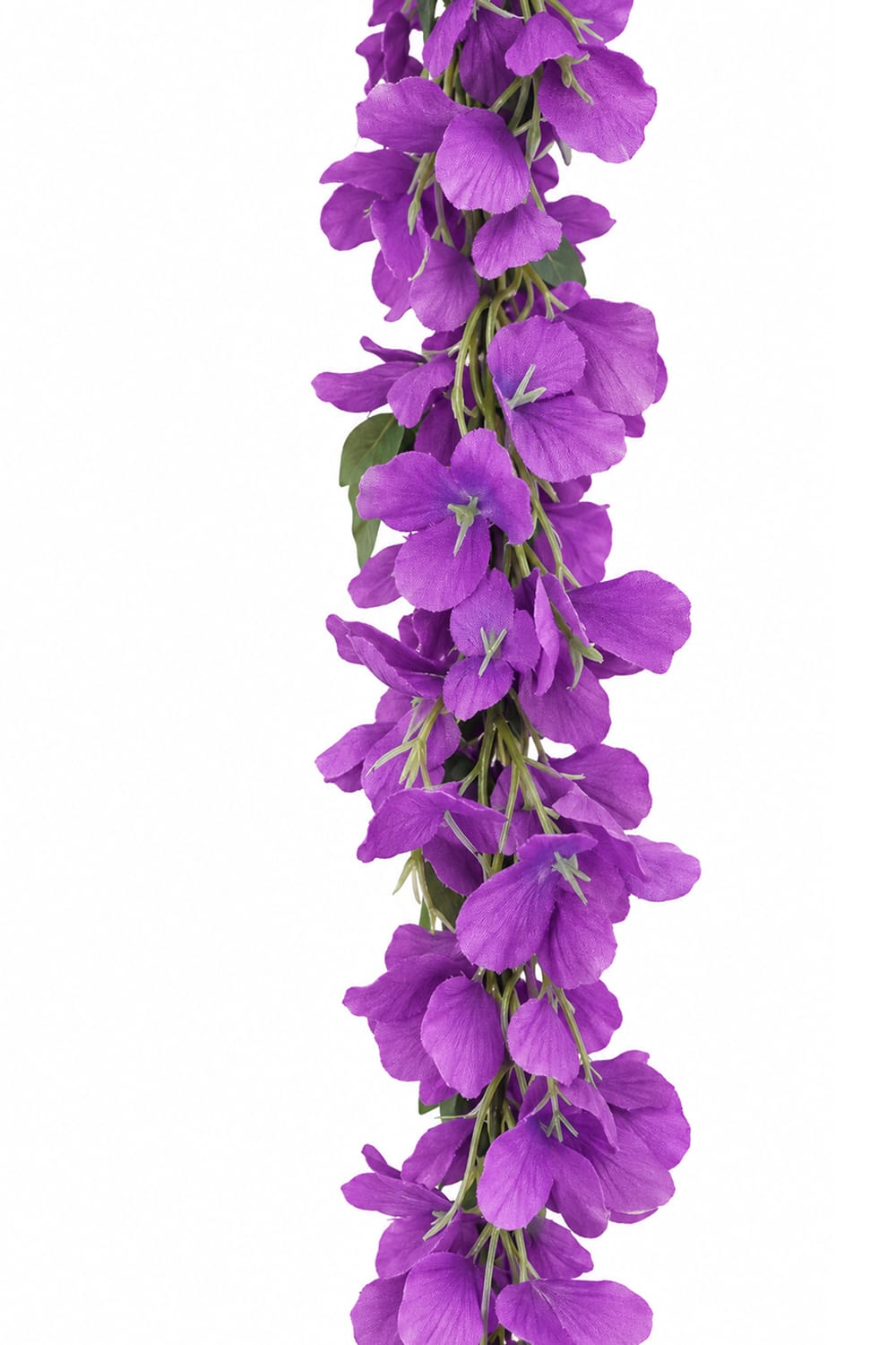 Wisteria Colgante