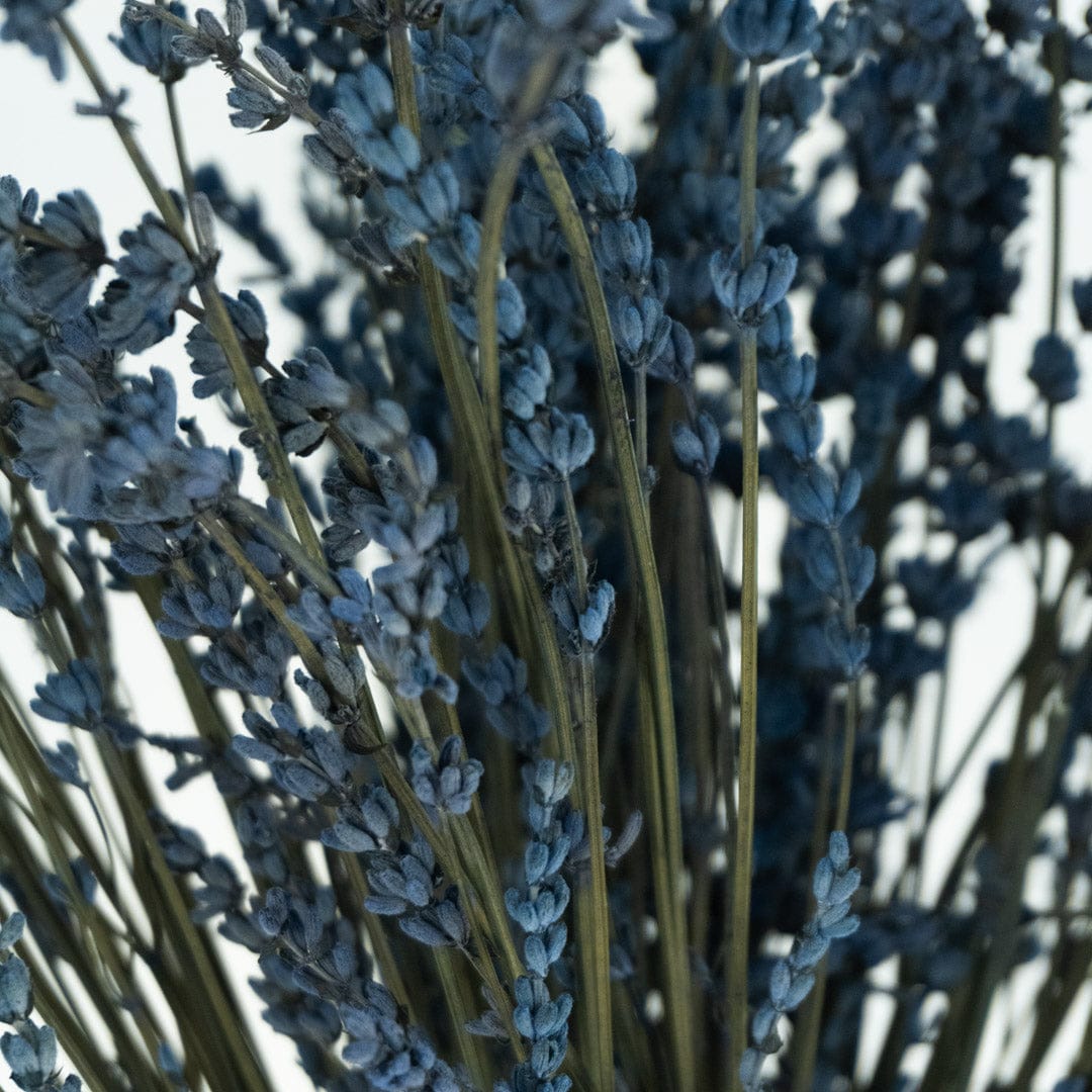 Bouquet Lavande bleue