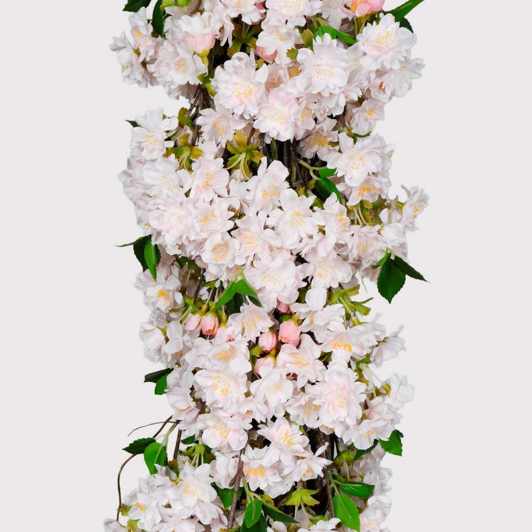 Enredadera Cerezo Flexible