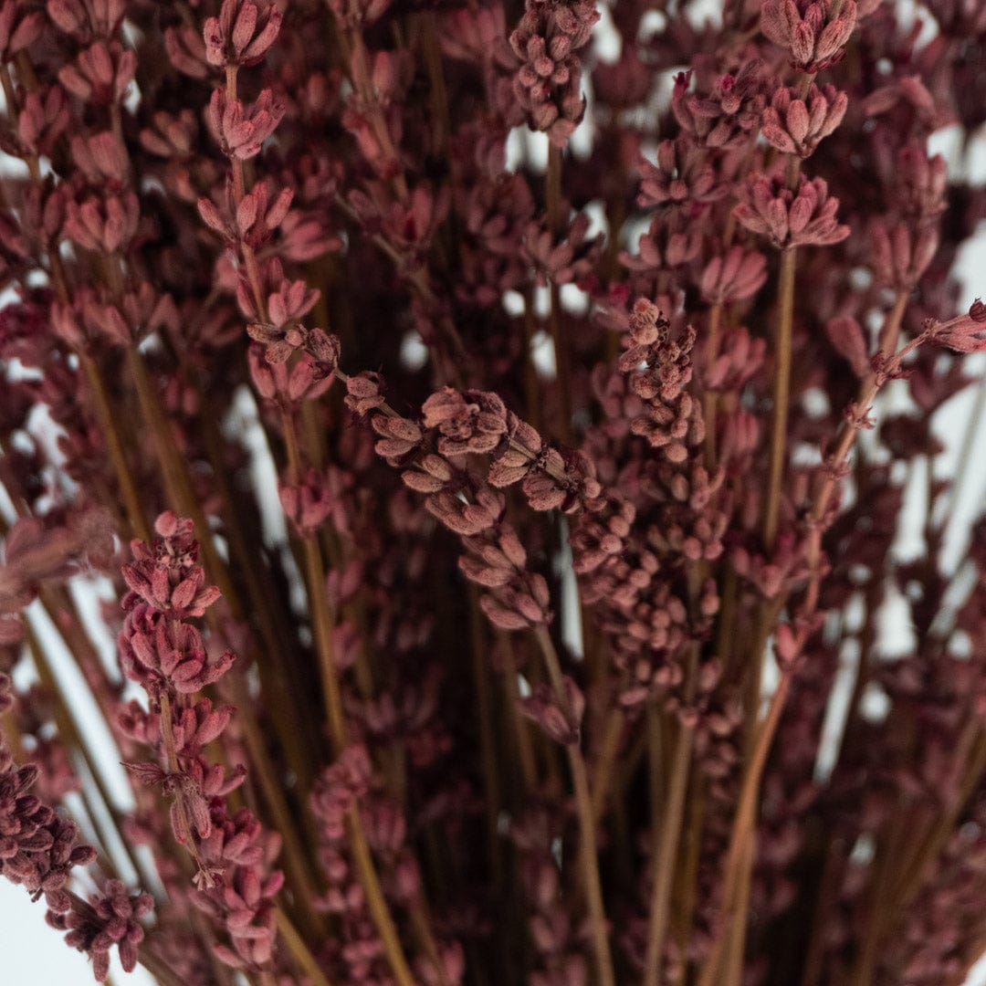 Mazzo di lavanda fucsia