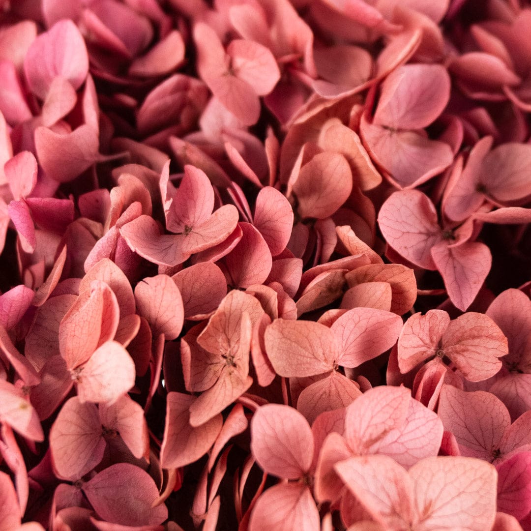 Mazzo di ortensia rosa