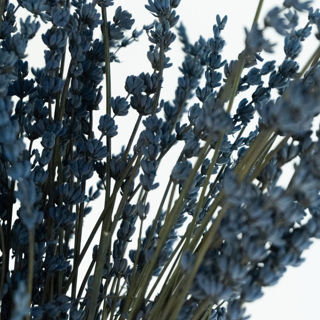 Bouquet Lavande bleue