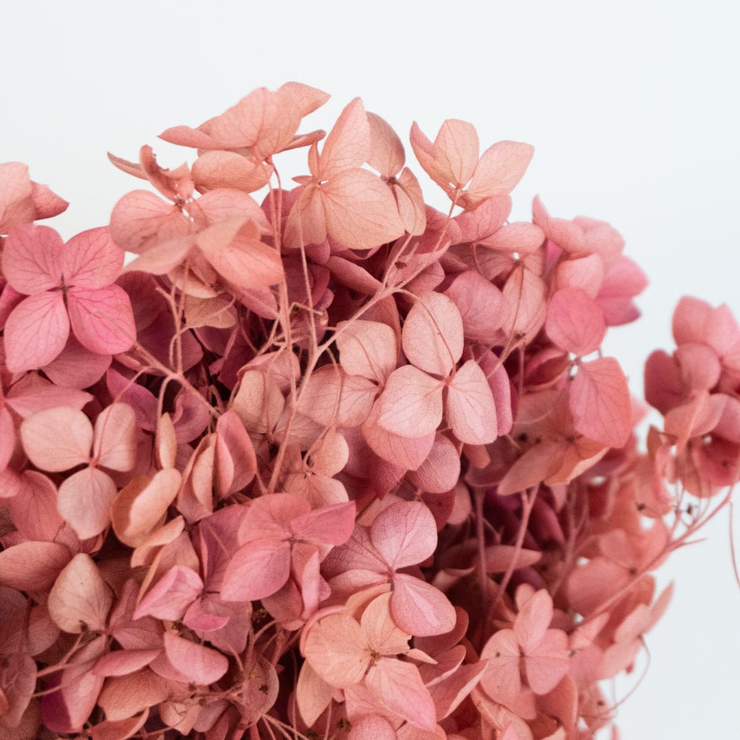 Mazzo di ortensia rosa