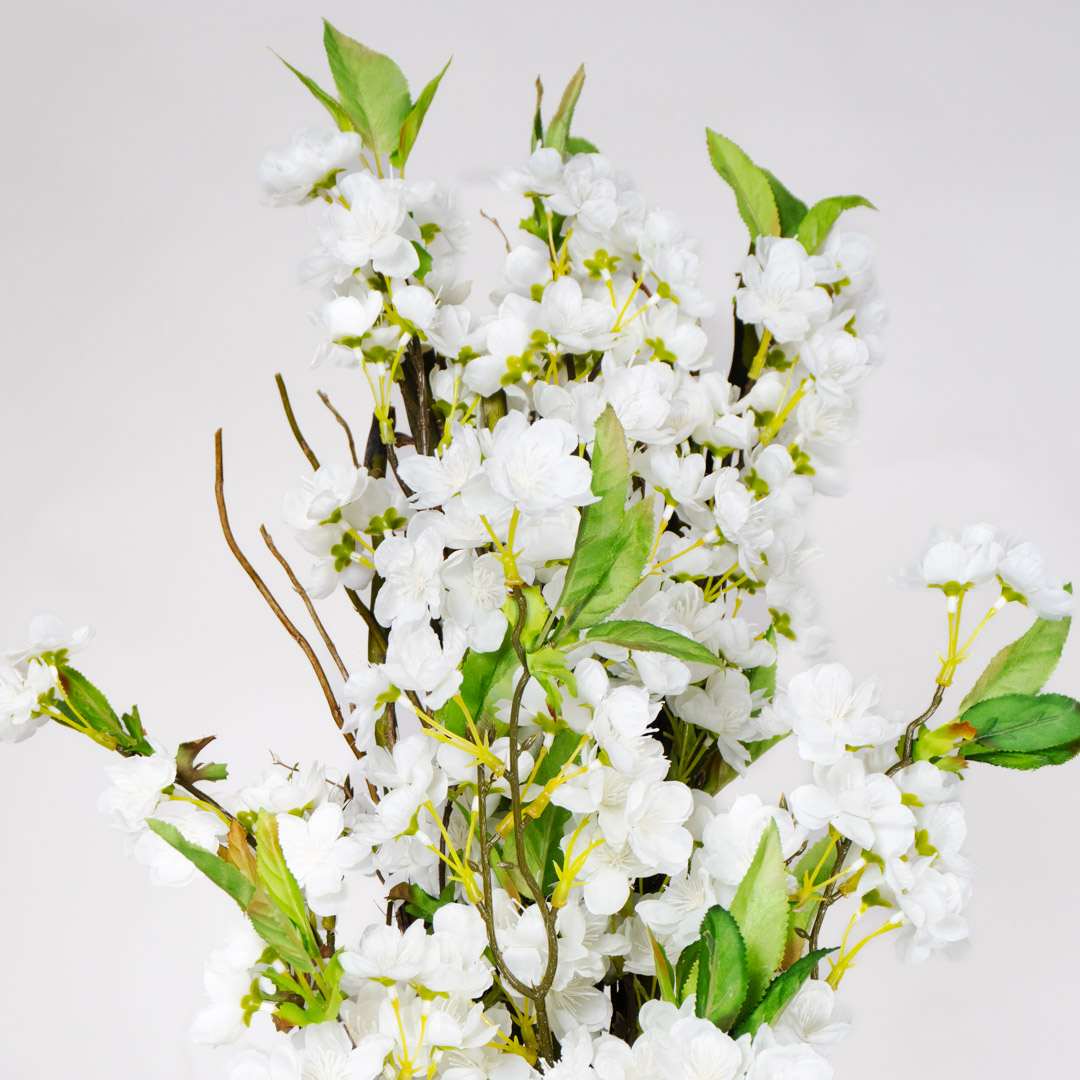 Mandorlo Bianco Singolo Rigido