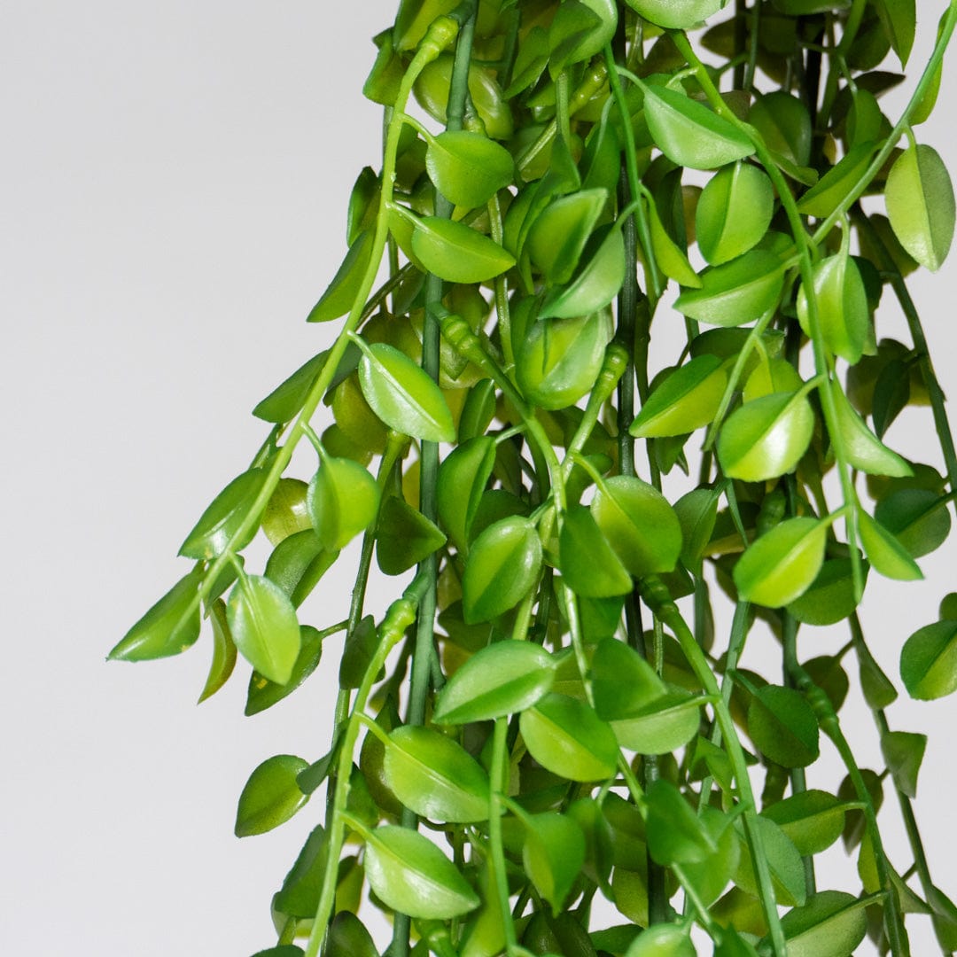 Suspension feuilles