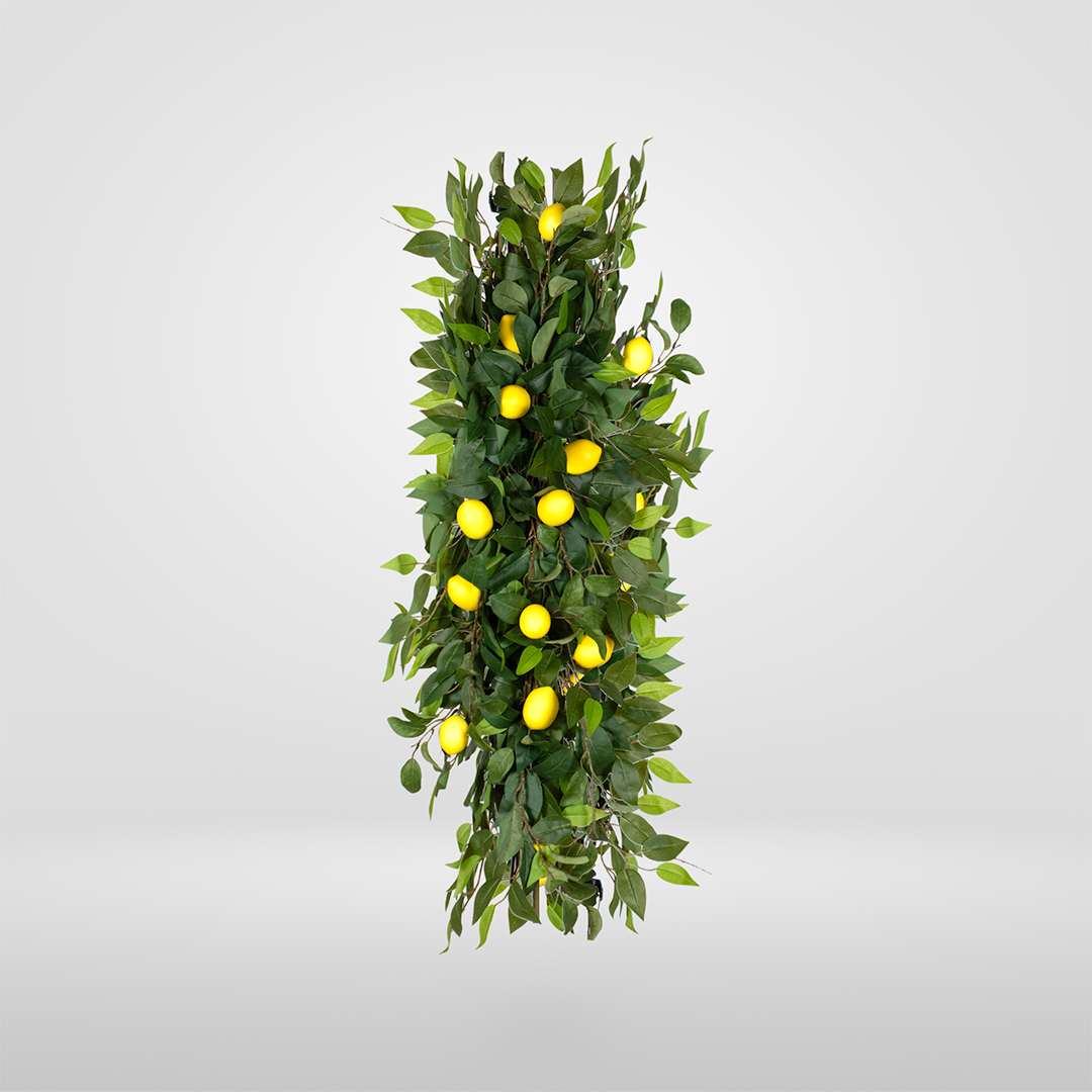 Limonero Individual Rígida