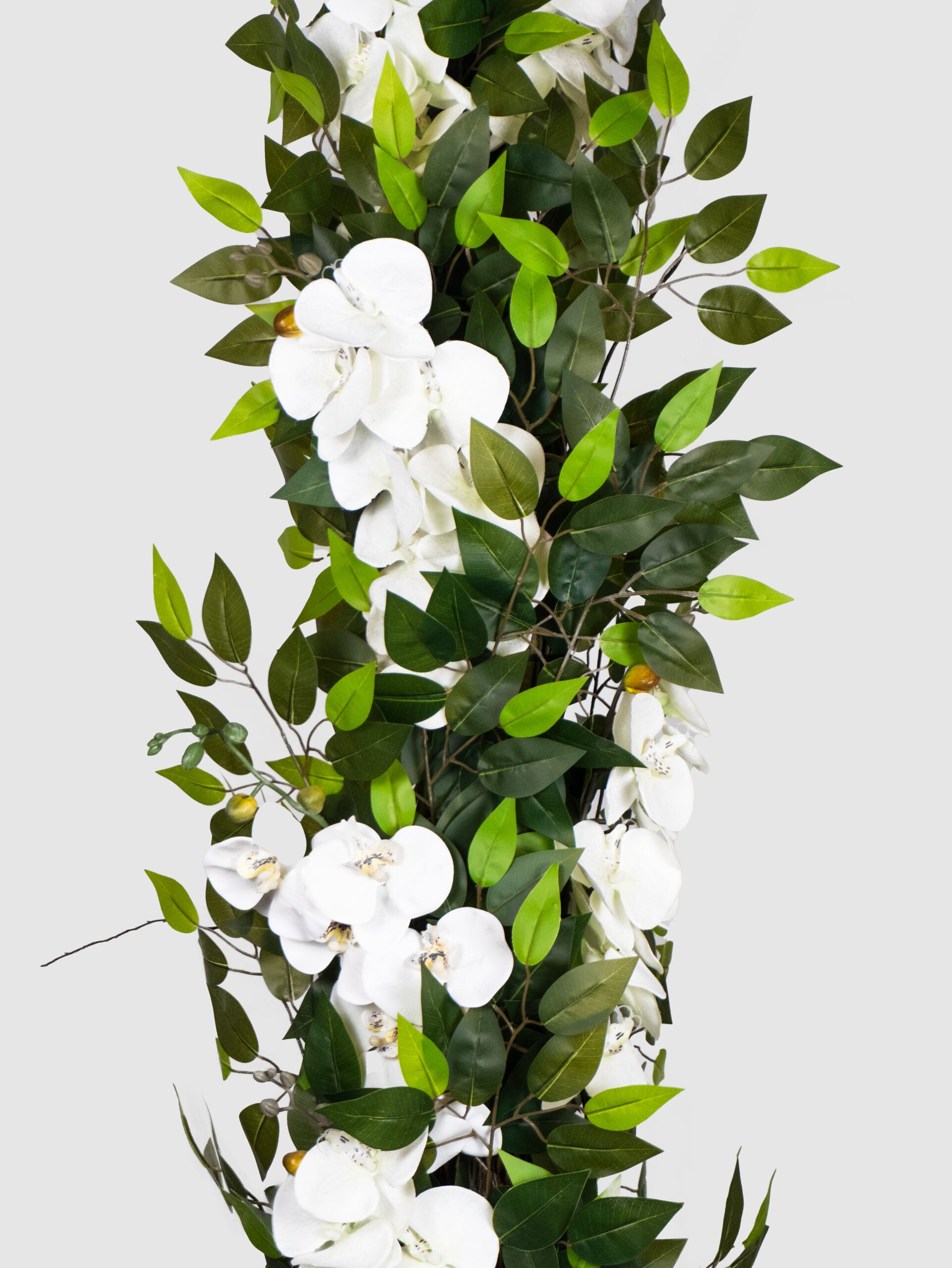 Orchidea Singola Flessibile