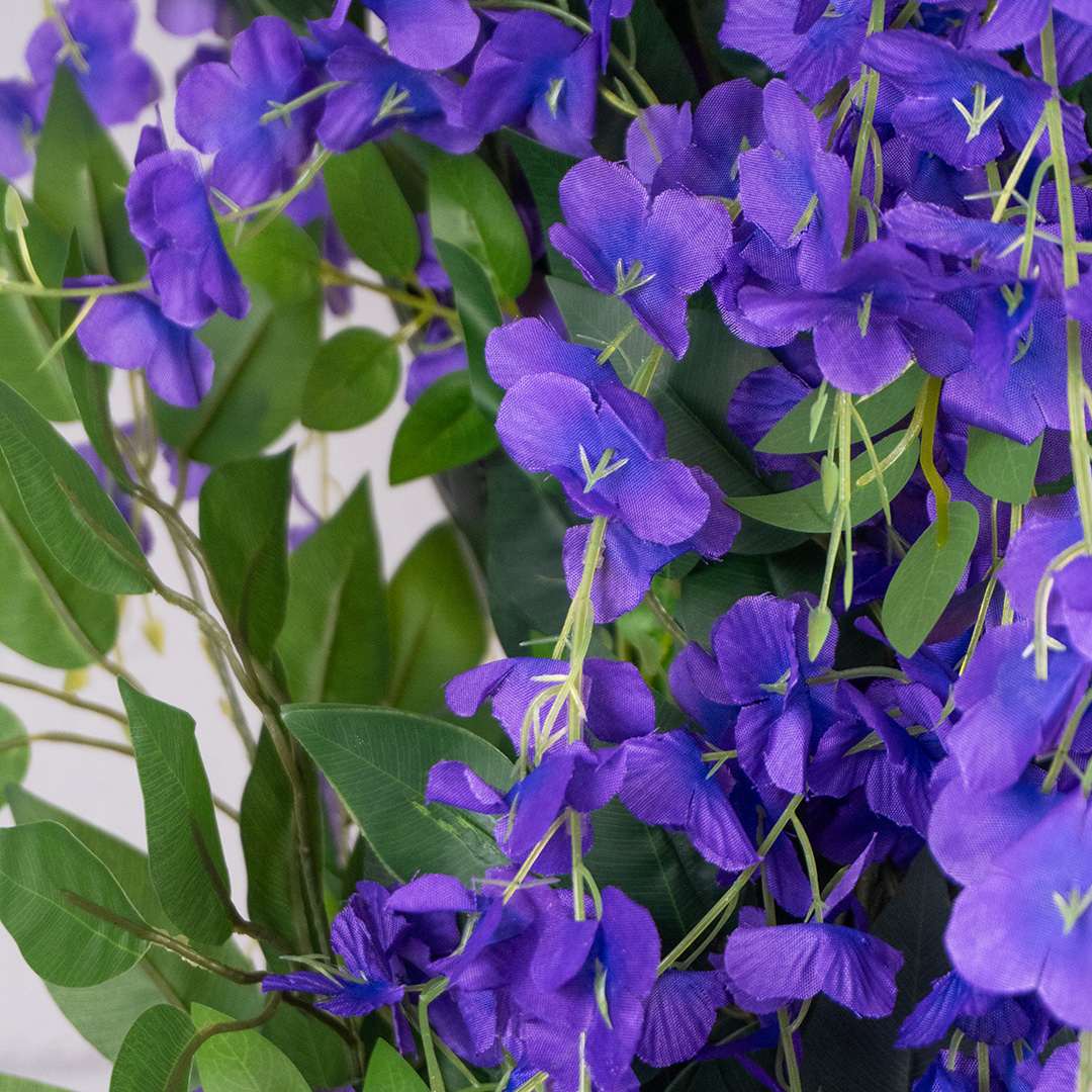 Wisteria Individual Rigida
