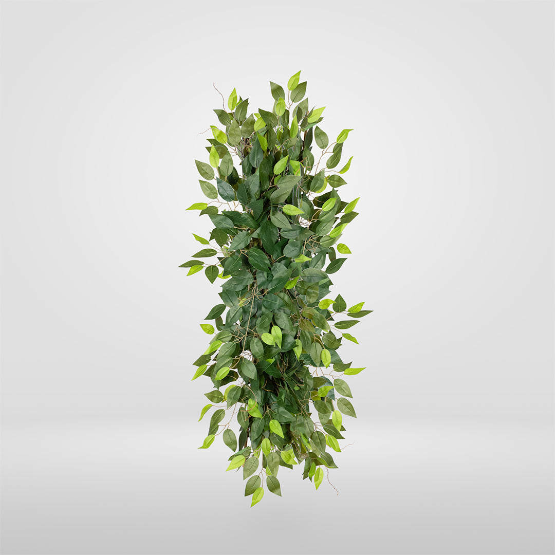 Enredadera Ficus Individual Rígida