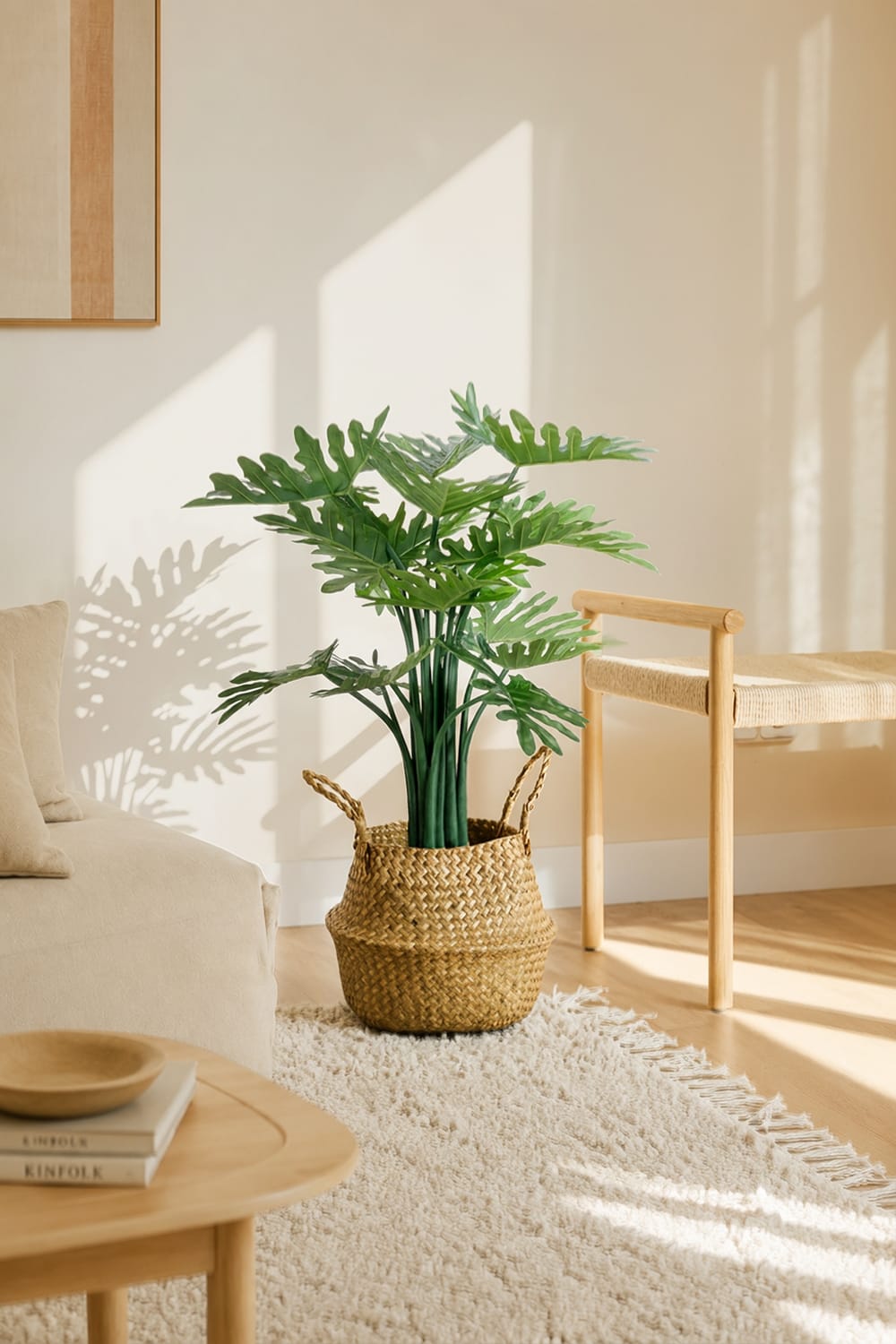 Philodendron